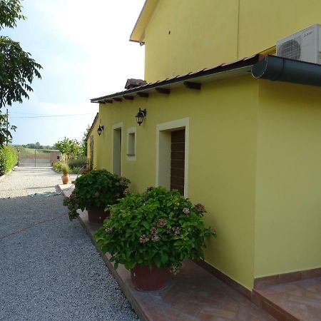 Santa Maria a Monte Appartamento Podere I Renai מראה חיצוני תמונה